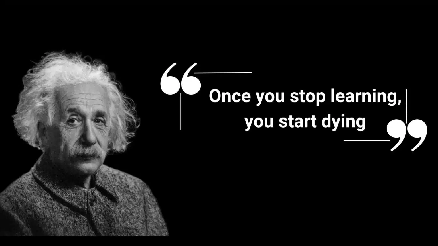 Einstein - build skills for a recession