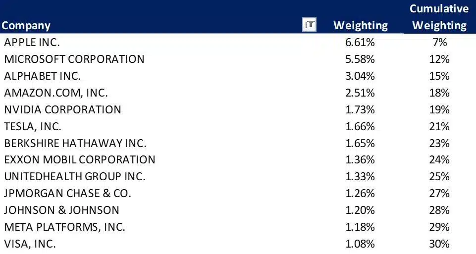 SP 500 Index Fund company concentration